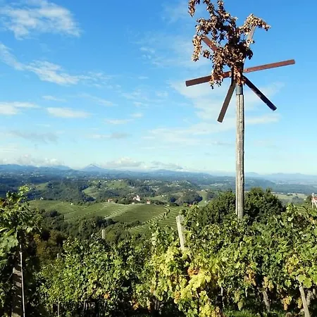 Апартаменты Haloze Forme