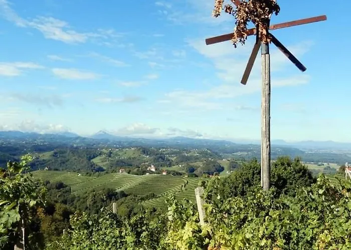 Apartma Haloze Forme