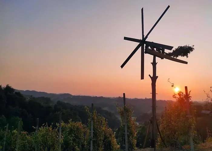 Haloze Forme Apartma *