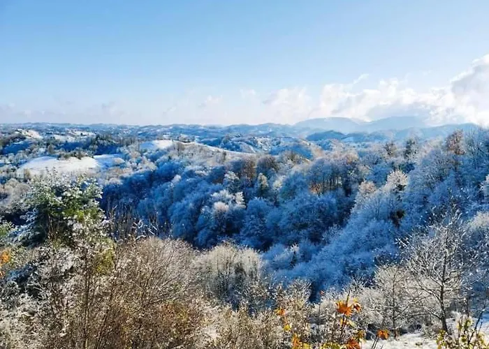 Haloze Forme Apartma *